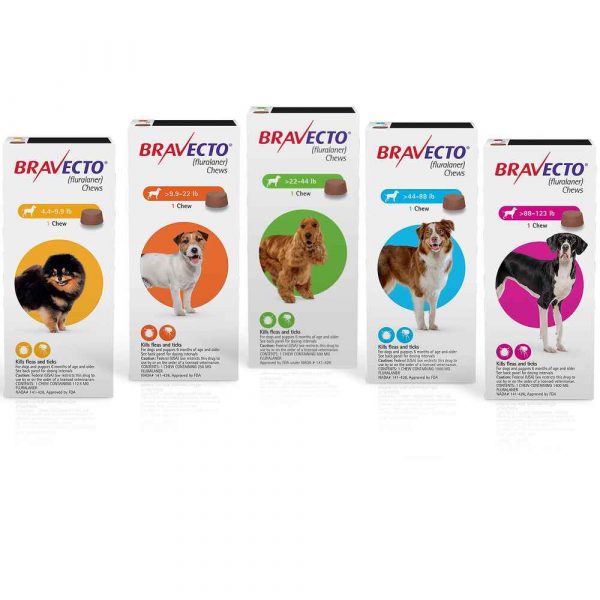 Montague Gardens Pet Shop