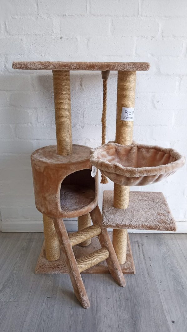 Montague Gardens Pet Shop